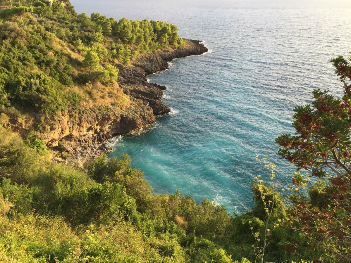 Вілла Fili D'Erba Cilento Вілламмаре Екстер'єр фото